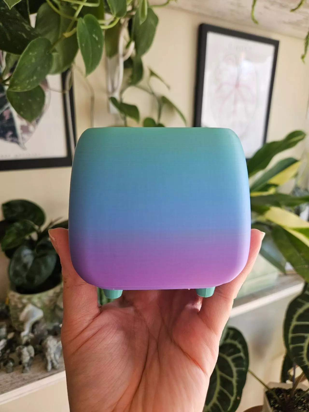 plant/3" pot 3D printed rainbow-0