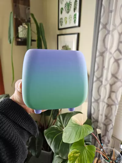 plant/3" pot 3D rainbow print-0-thumbnail