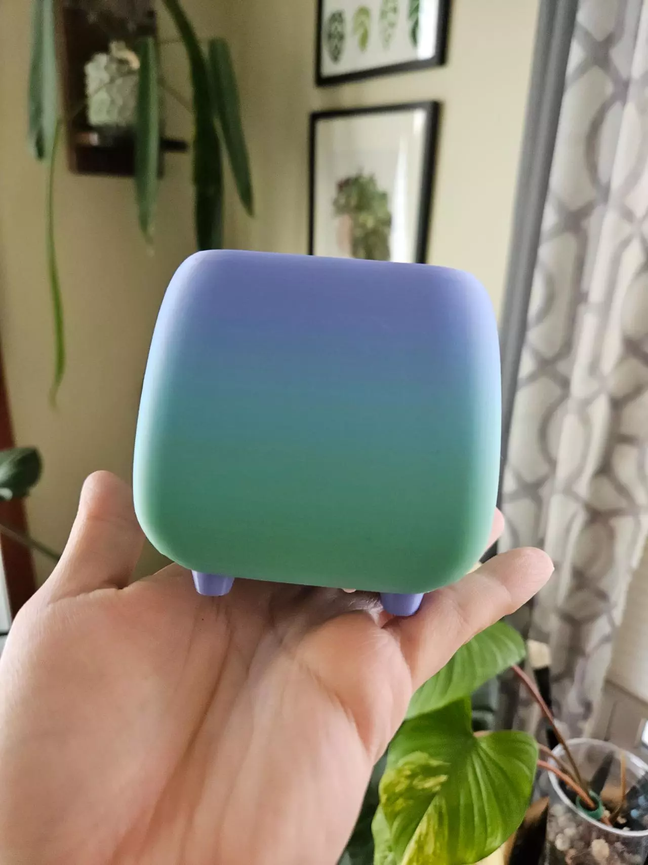 plant/3" pot 3D rainbow print-4