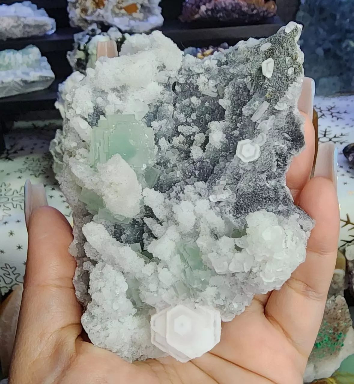 plant/Pink Coin Calcite with Fluorite-0