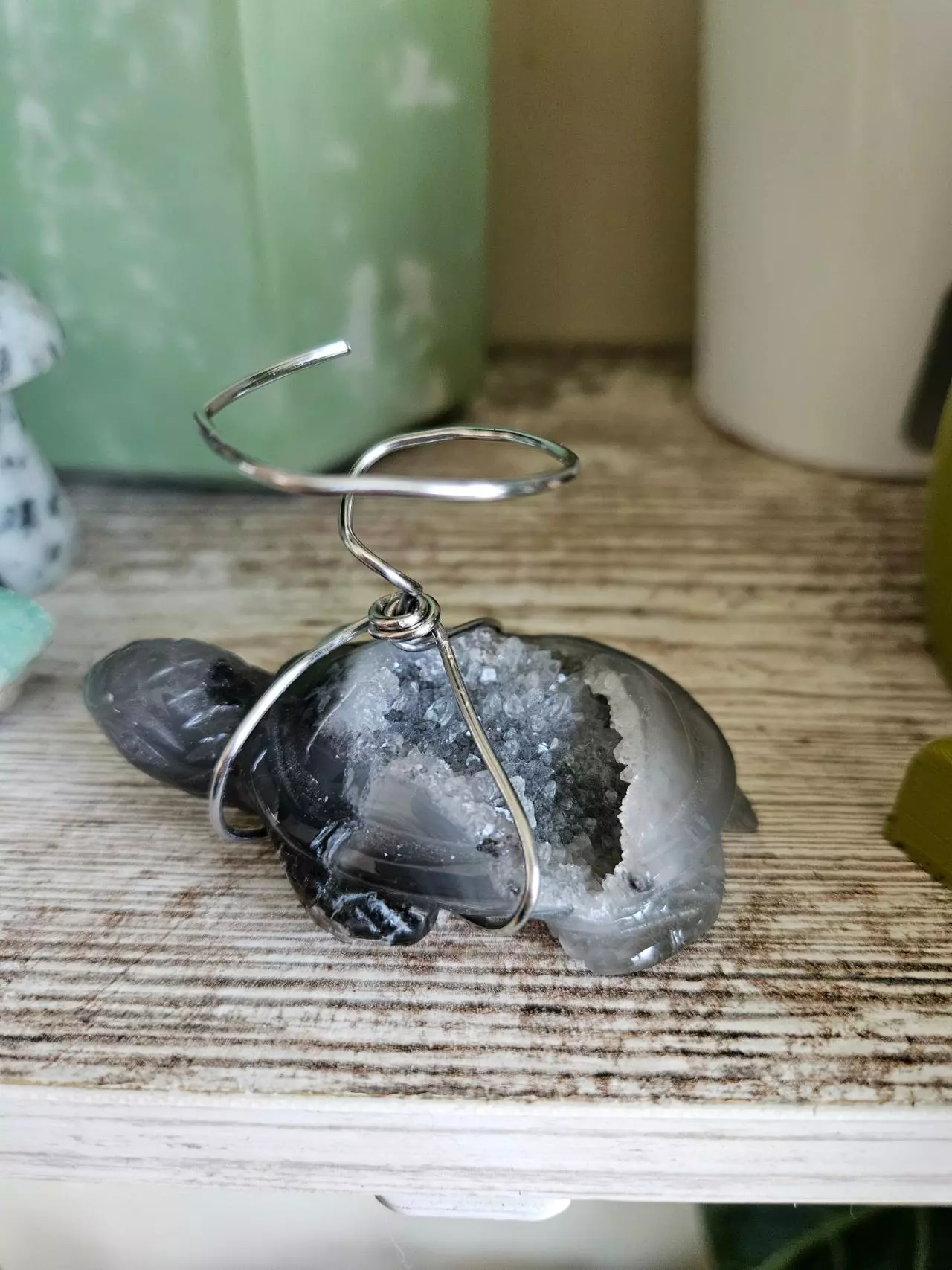 plant/Sparkly turtle airplant stand-0