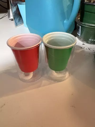 plant/Self watering pup cups CHRISTMAS-0-thumbnail