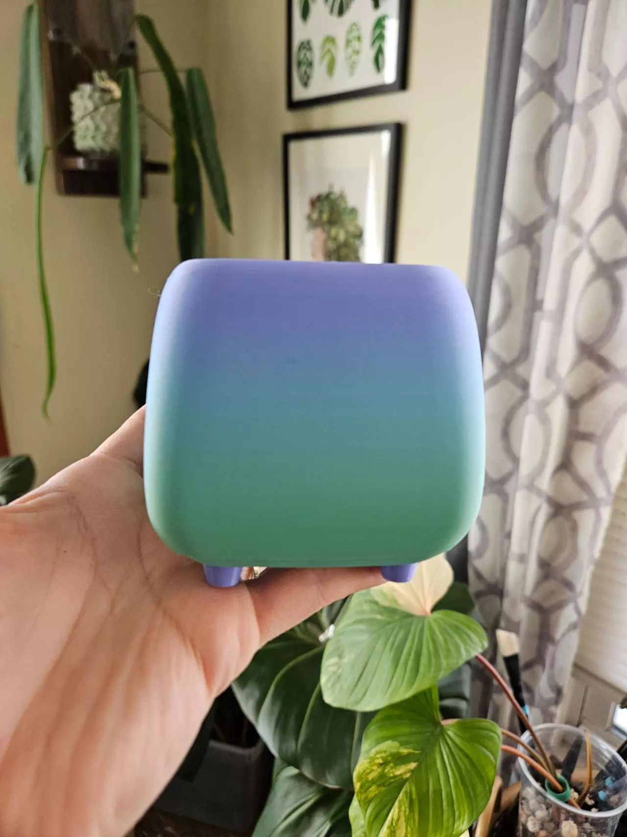 plant/3" pot 3D rainbow print-1