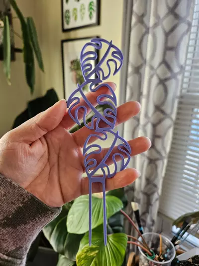 plant/Monstera plant support stake-1-thumbnail