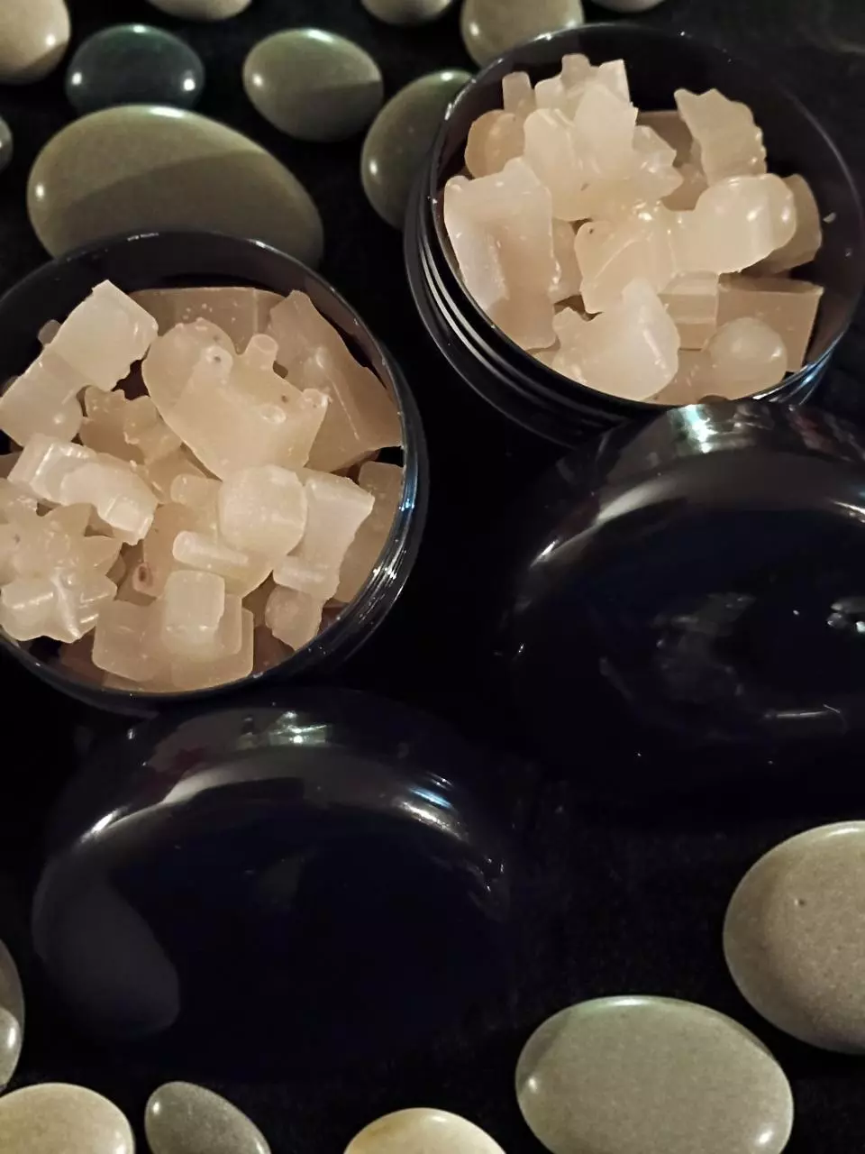 plant/Wax melts! Dinos and bears! Mistletoe Mischief Fragrance!-0