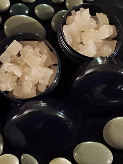 plant/Wax melts! Dinos and bears! Mistletoe Mischief Fragrance!-0-thumbnail