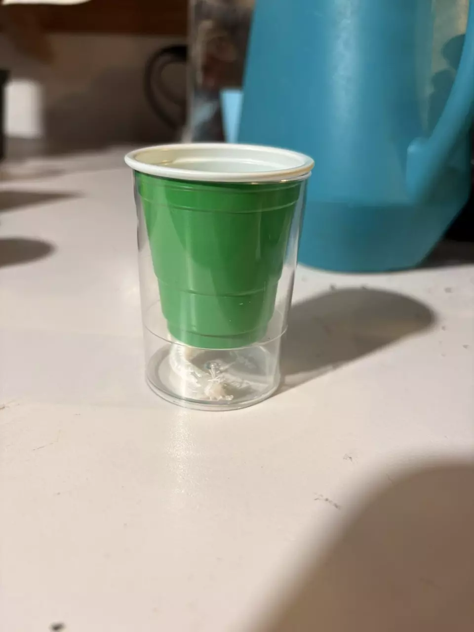 plant/5 Self watering pup cups GREEN-0