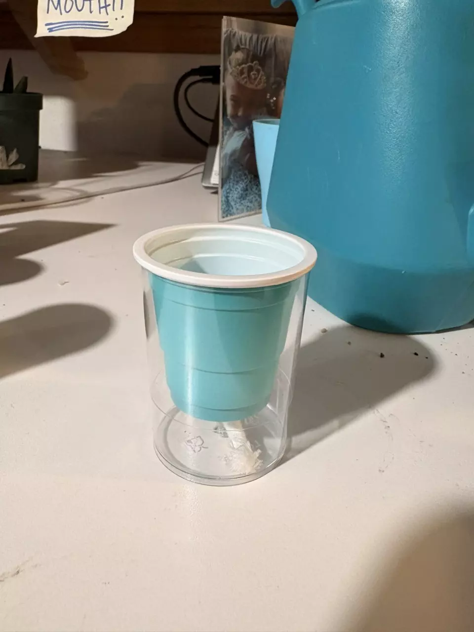 plant/5 Self watering pup cups TURQUOISE-0