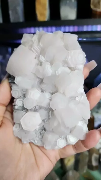 plant/Coin calcite-0-thumbnail