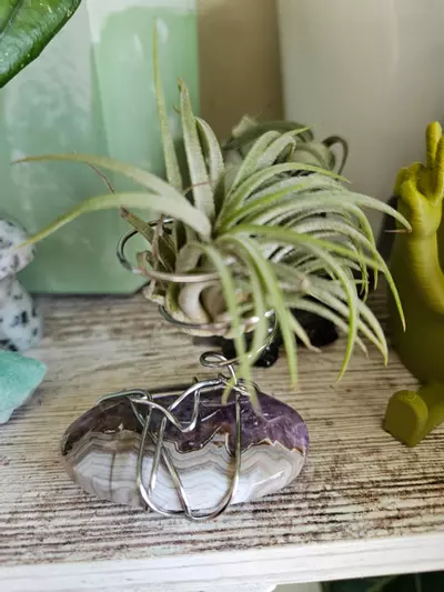 plant/Amy Agate Airplant Stand-1-thumbnail