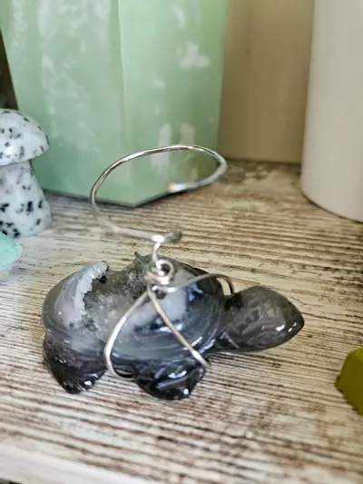 plant/Sparkly turtle airplant stand-3-thumbnail