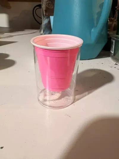 plant/5 Self watering pup cups PINK-0-thumbnail