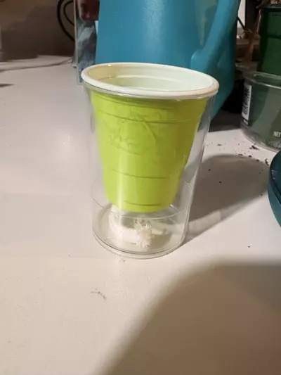 plant/5 Self watering pup cups LIME GREEN-0-thumbnail