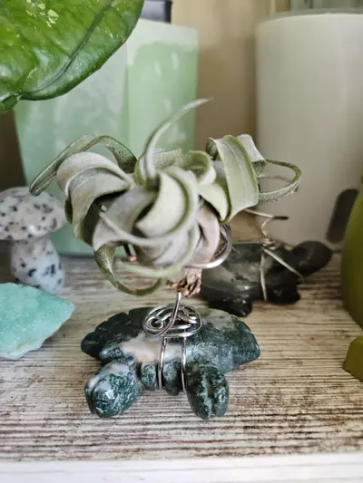plant/Moss Agate Crab Airplant Stand-2-thumbnail