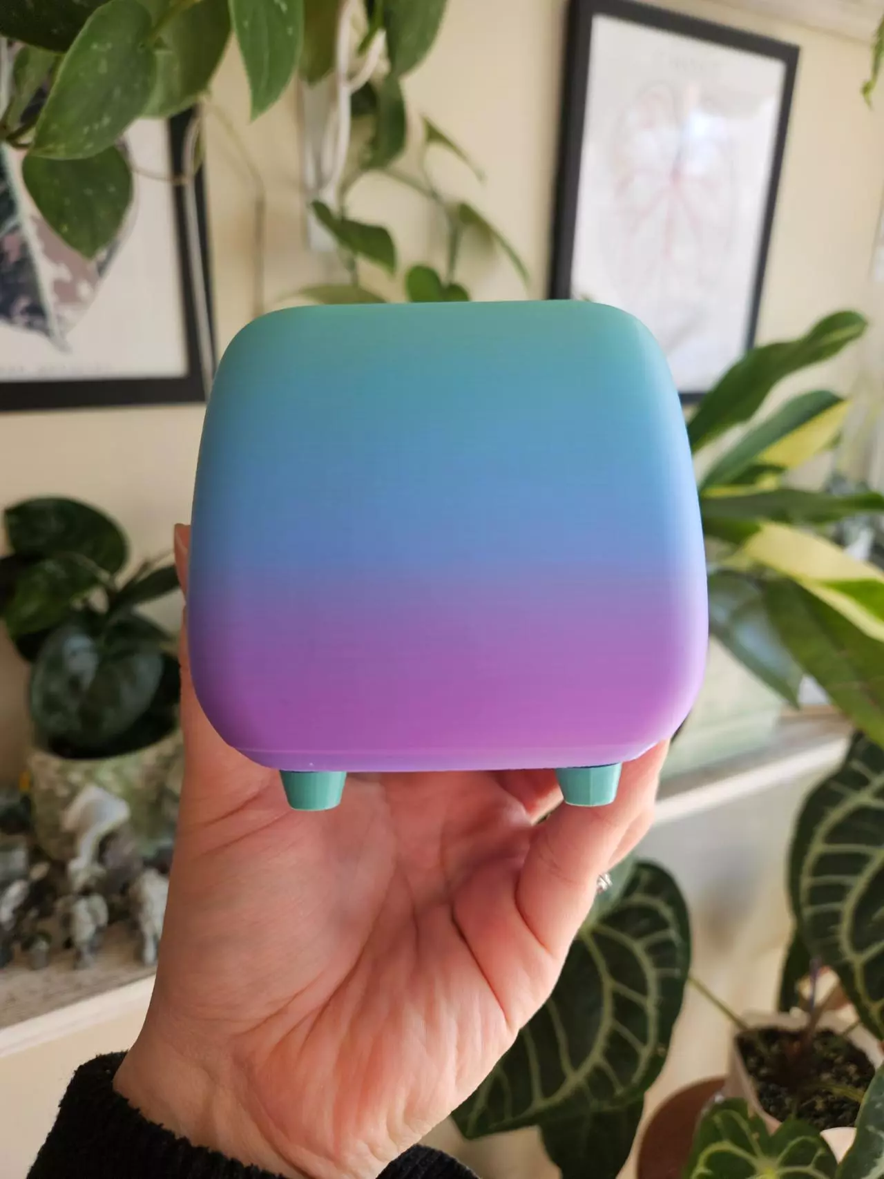 plant/3" pot 3D printed rainbow-3