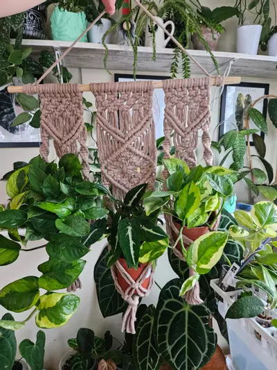 plant/Macrame trio plant hanger-1-thumbnail