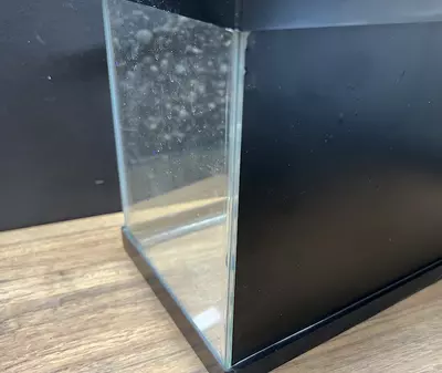 plant/Black Vivarium Background-0-thumbnail