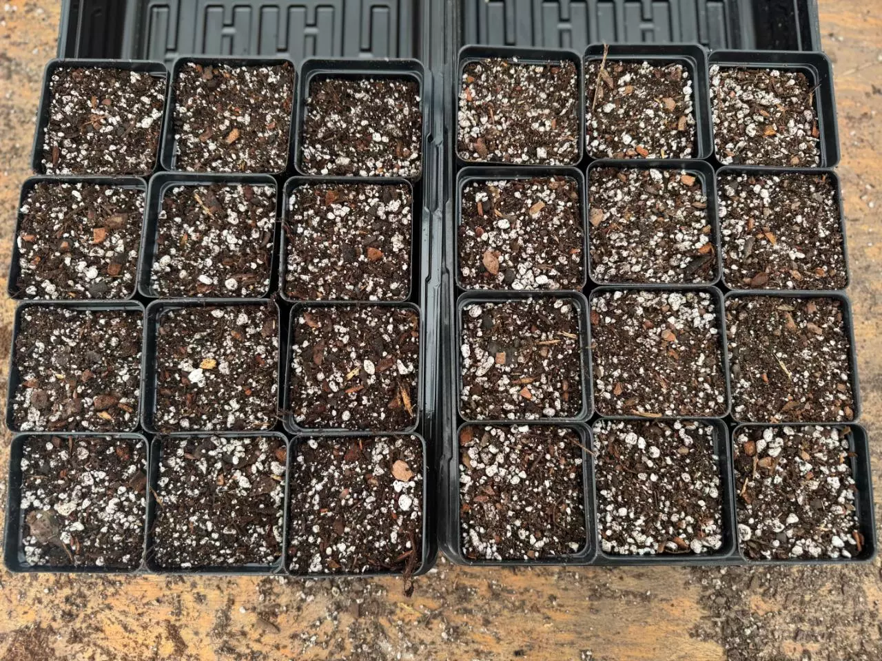 plant/1.5 gallons of Nice Plants Chunky Anthurium & Aroid Soil Mix (Free Shipping!)-1