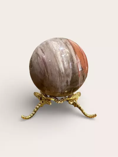 plant/2.36 Petrified Wood Sphere-1-thumbnail