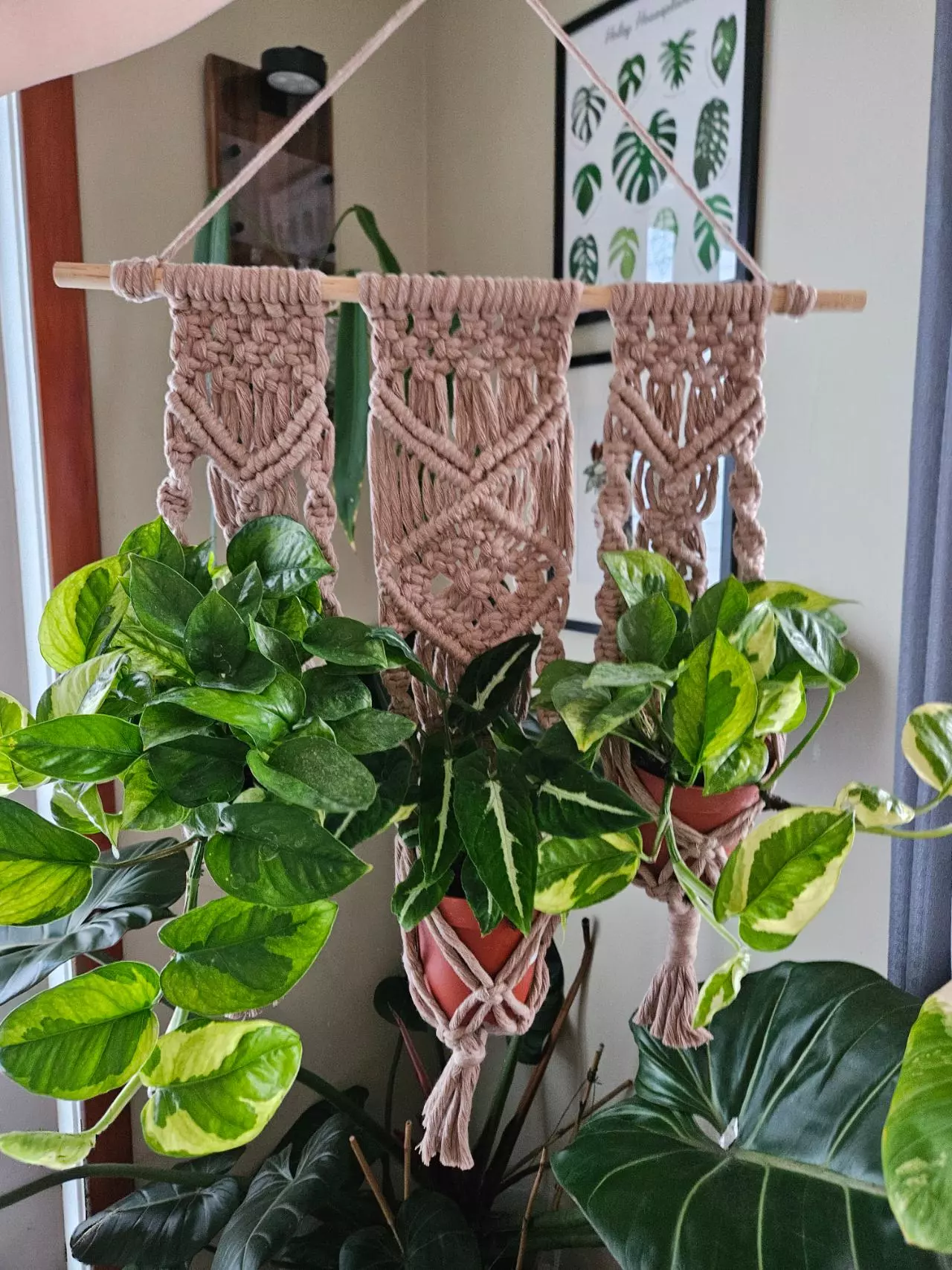 plant/Macrame trio plant hanger-0