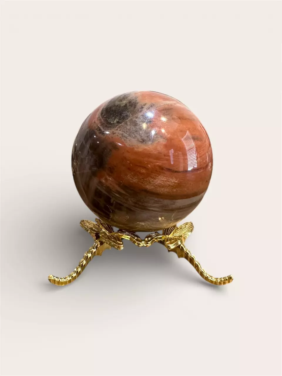 plant/2.36 Petrified Wood Sphere-0