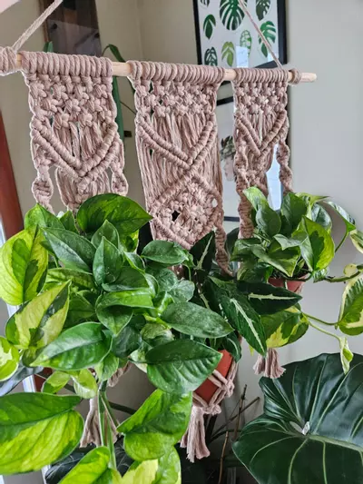 plant/Macrame trio plant hanger-4-thumbnail