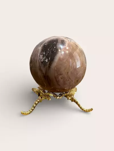 plant/2.36 Petrified Wood Sphere-2-thumbnail