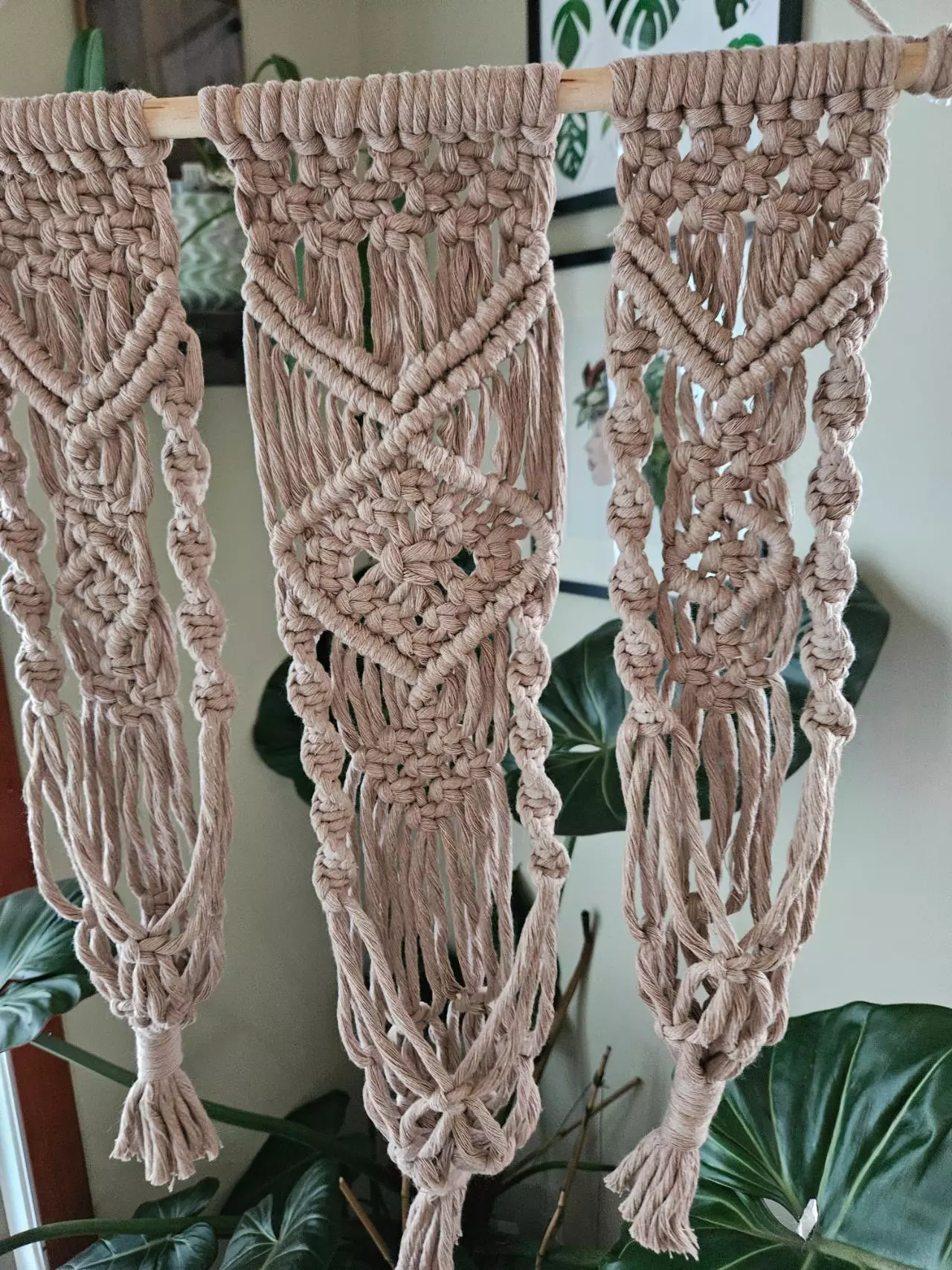 plant/Macrame trio plant hanger-8