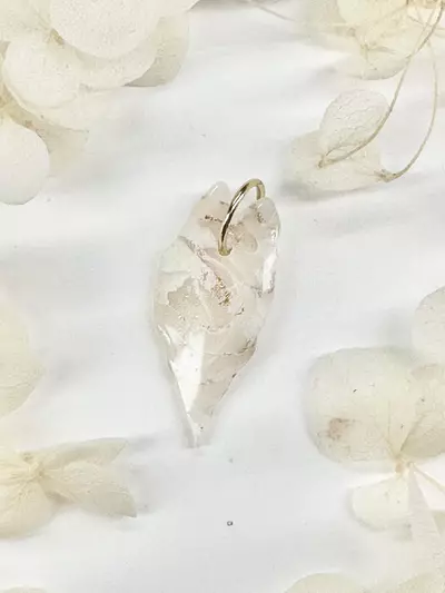 plant/Alocasia Charm – White Marble with Gold Flakes-0-thumbnail