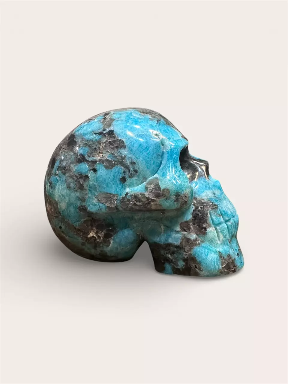 plant/7 inch Amazonite skull-1