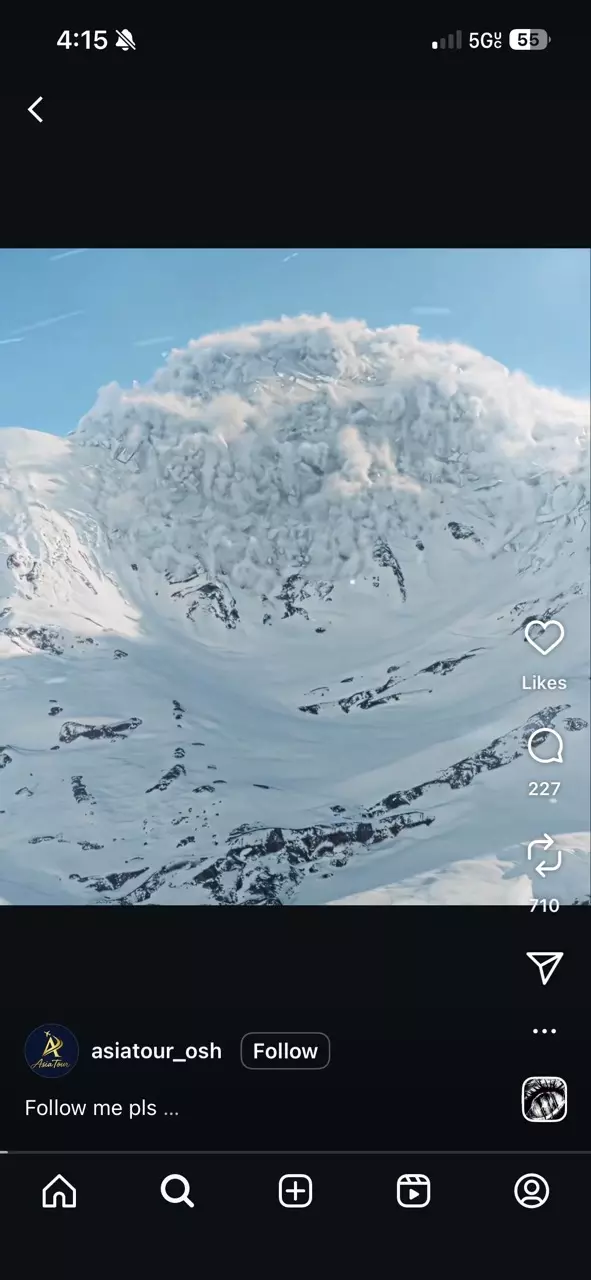 plant/3-Day Shipping-0