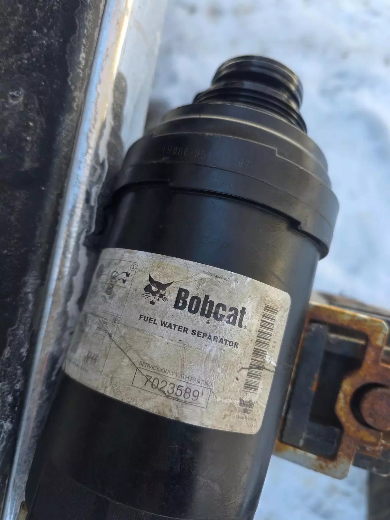 plant/Test item for sale-0