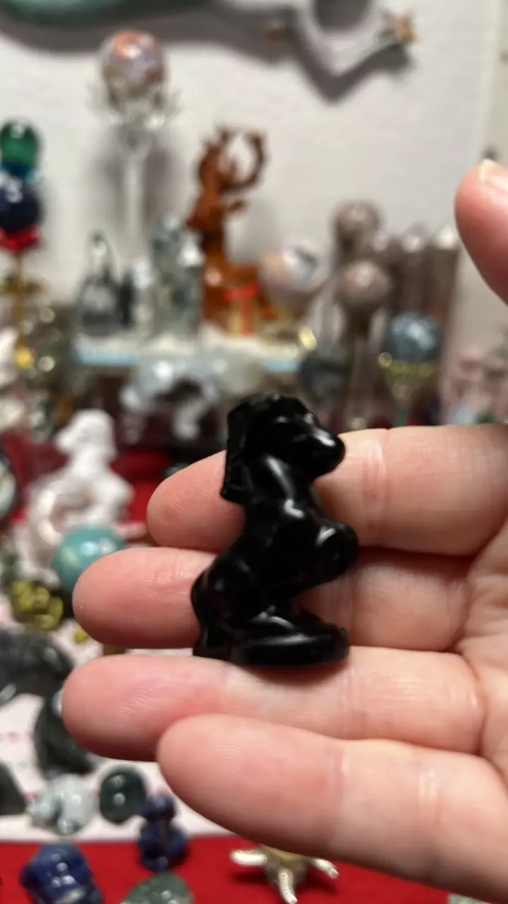 plant/$8~ Obsidian Horse-0