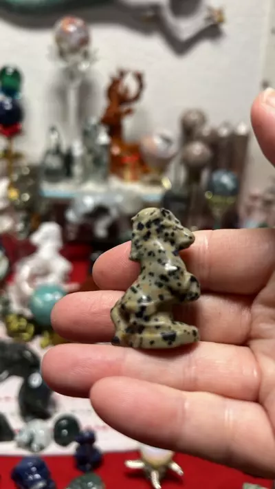 plant/$8| Dalmatian Horse-0-thumbnail