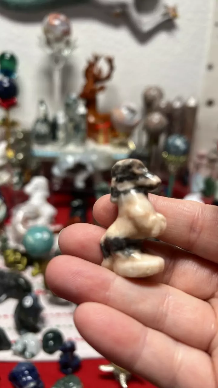 plant/$8| Pink Zebra Horse-0