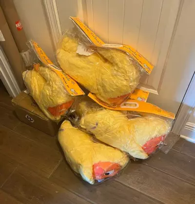 plant/We Are Twinkle Twinkle Pillow 💫 Authentic From Popmart! ✅-1-thumbnail