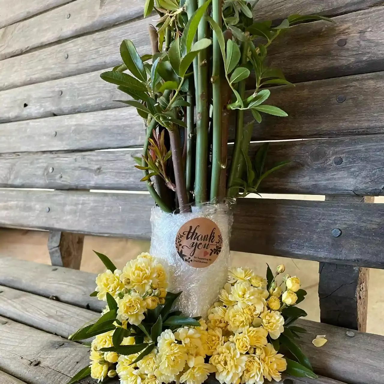 plant/Lady Banks Rose clippings for propagation-0