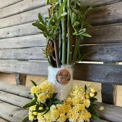 plant/Lady Banks Rose clippings for propagation-0-thumbnail