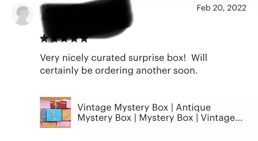 plant/Curated Vintage Home Decor Mystery Gift Box-0