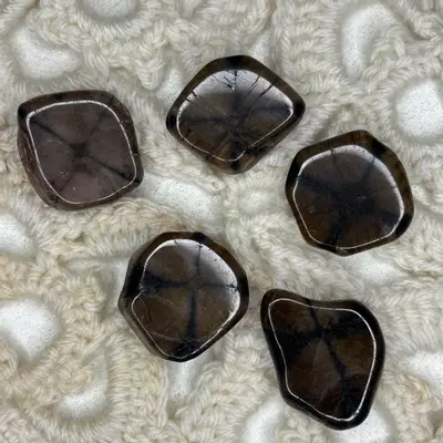 plant/Andalusite Chiastolite from Spain - Intuitively Chosen (1)-1-thumbnail