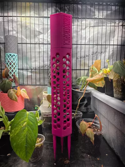 plant/HEXPOLE CLIPS (Small)-0-thumbnail