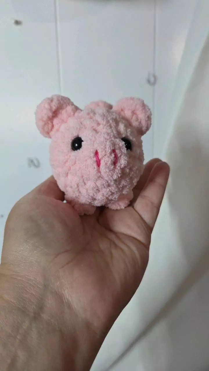 plant/MADE TO ORDER- Tiny Pig Plushie-0
