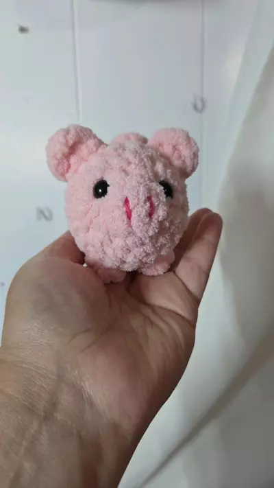 plant/MADE TO ORDER- Tiny Pig Plushie-0-thumbnail