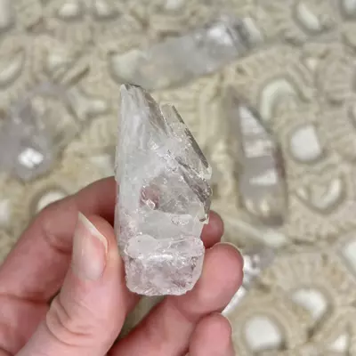 plant/Pink Lemurian Points from Colombia - Intuitively Chosen (1)-0-thumbnail