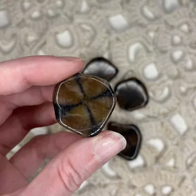 plant/Andalusite Chiastolite from Spain - Intuitively Chosen (1)-0-thumbnail