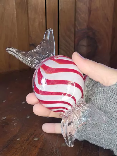 plant/Glass Candy-1-thumbnail