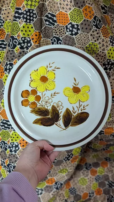 plant/Set of 7 MCM plates by design four stoneware (was $40)-0-thumbnail