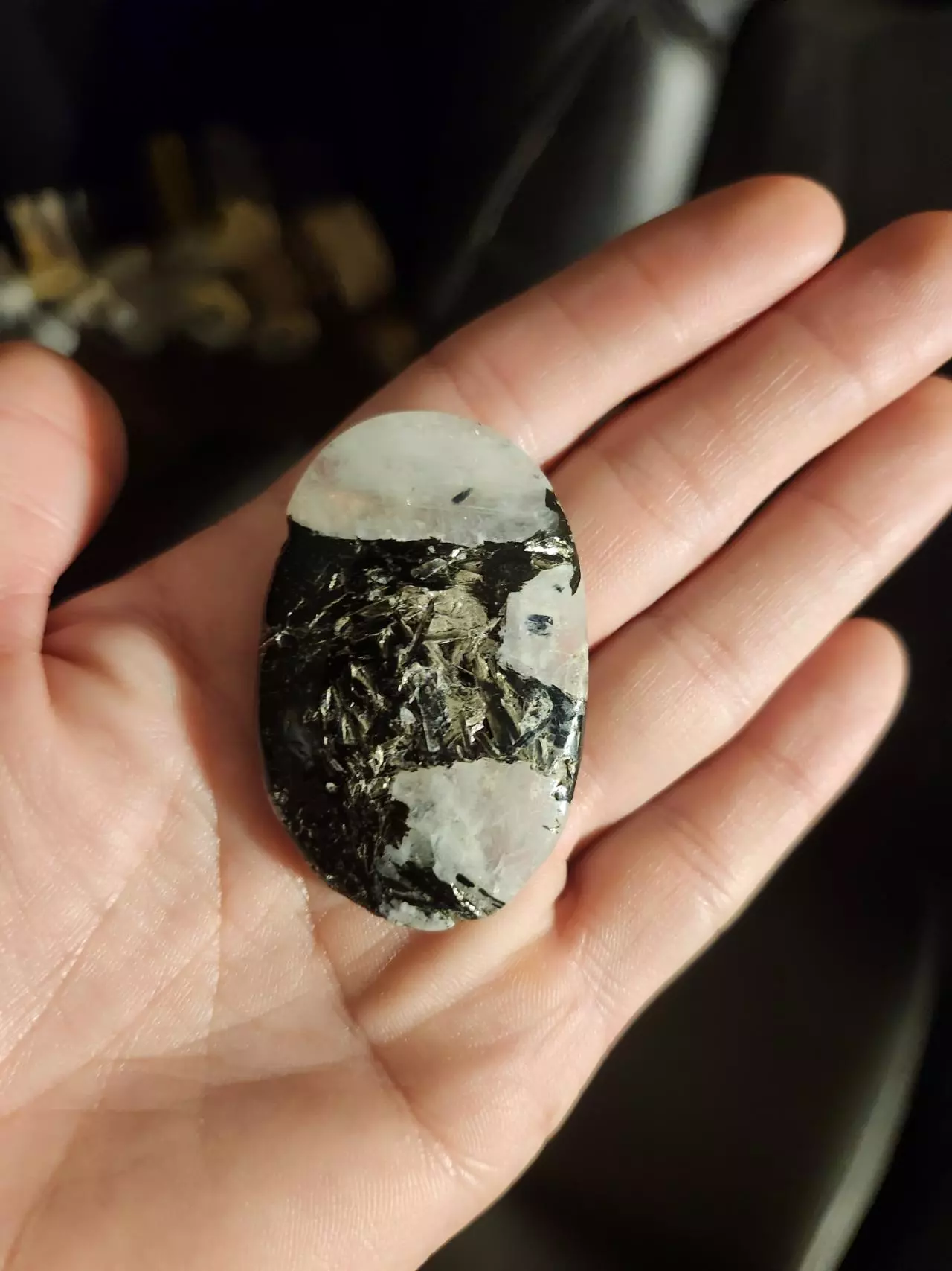 plant/🔮Rainbow Moonstone Palm🔮-0