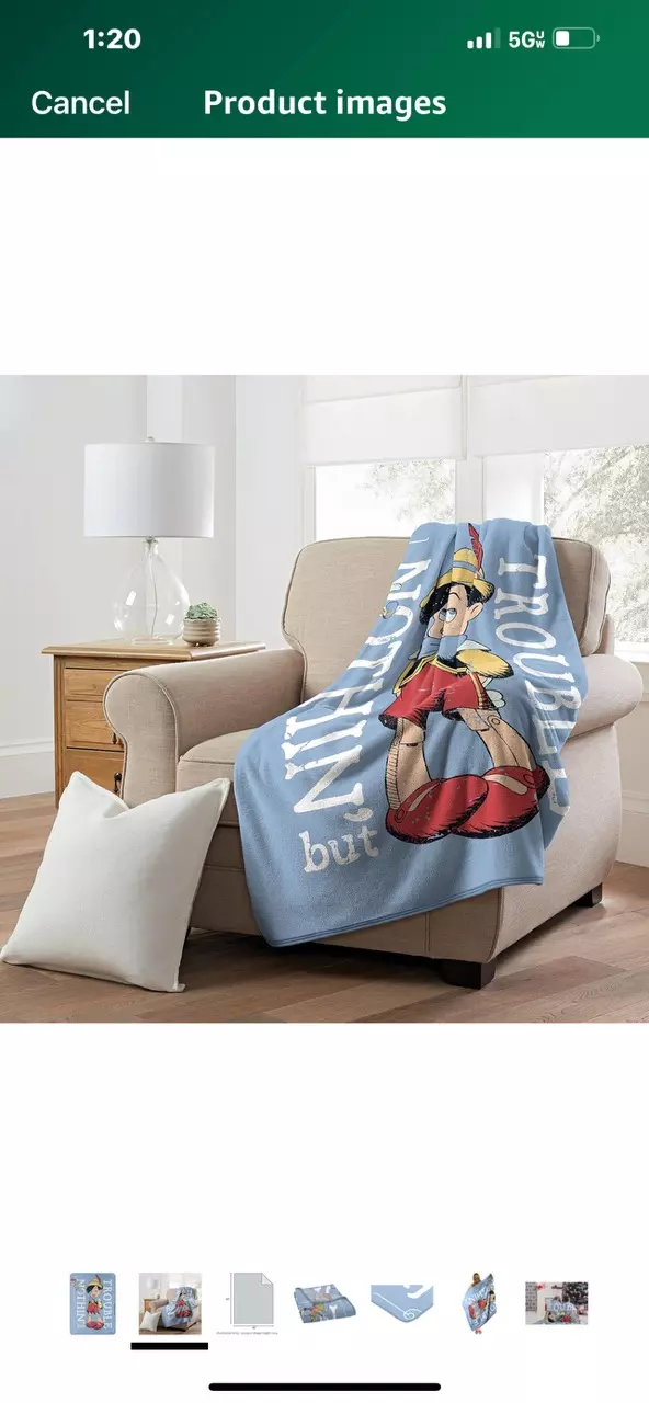 plant/Northwest Disney's Pinocchio Micro Raschel Throw Blanket, 46" x 60", Trouble-1