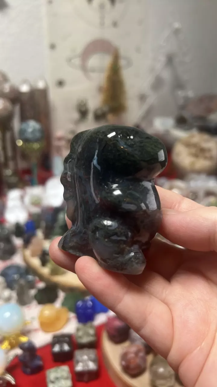 plant/$28| Moss Agate Dino C-0